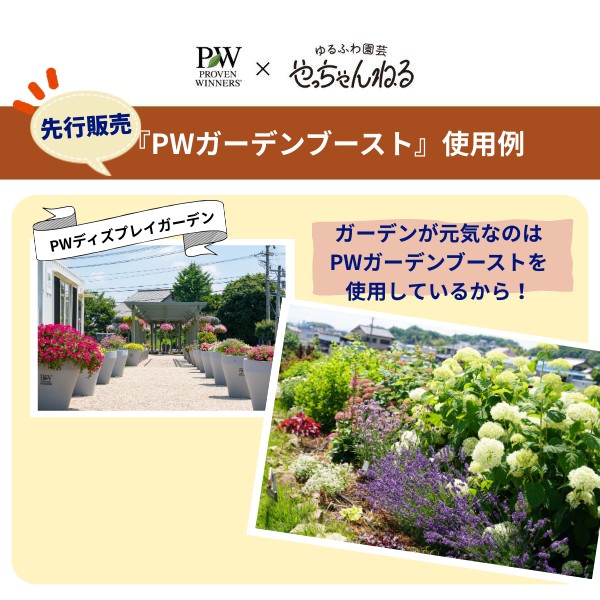 PW公式オンラインストア / 【限定】PW×やっちゃんねる 広い