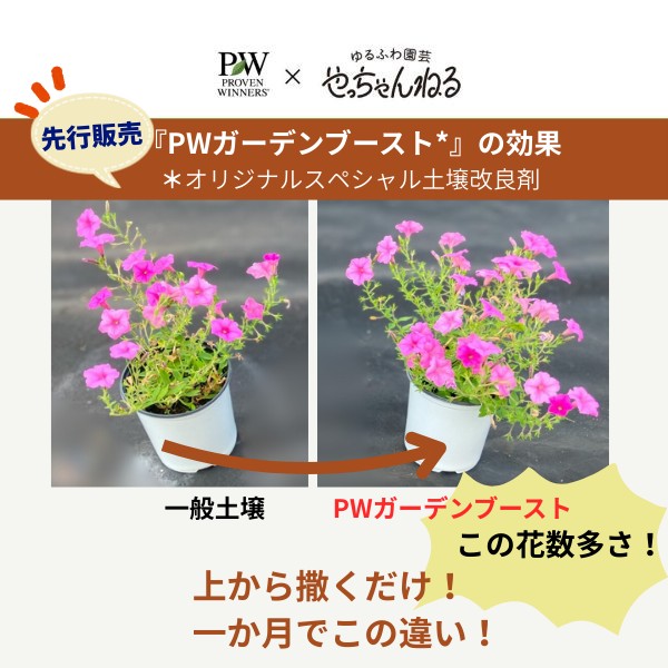PW公式オンラインストア / 【限定】PW×やっちゃんねる 小さな