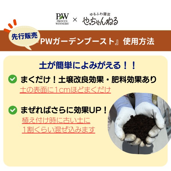 PW公式オンラインストア / 【限定】PW×やっちゃんねる 小さな