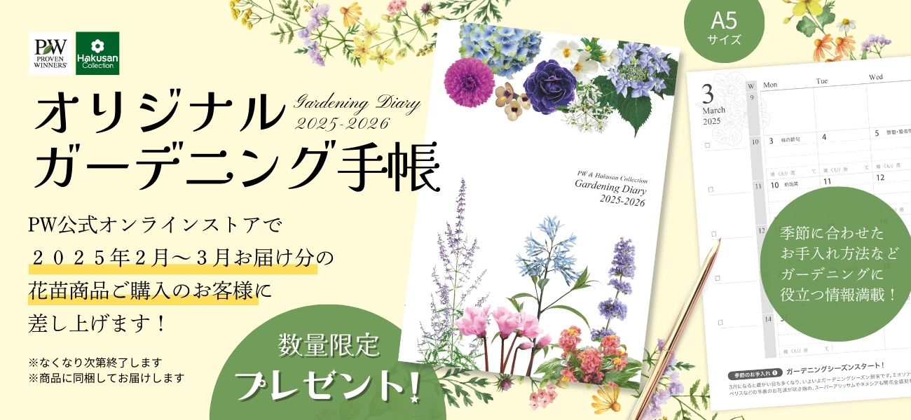 すふれ様 確認ページ めぐり